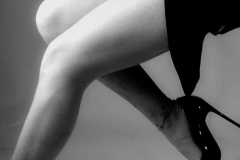 Immagine-WhatsApp-2024-01-21-ore-19.00.40_559f8b42